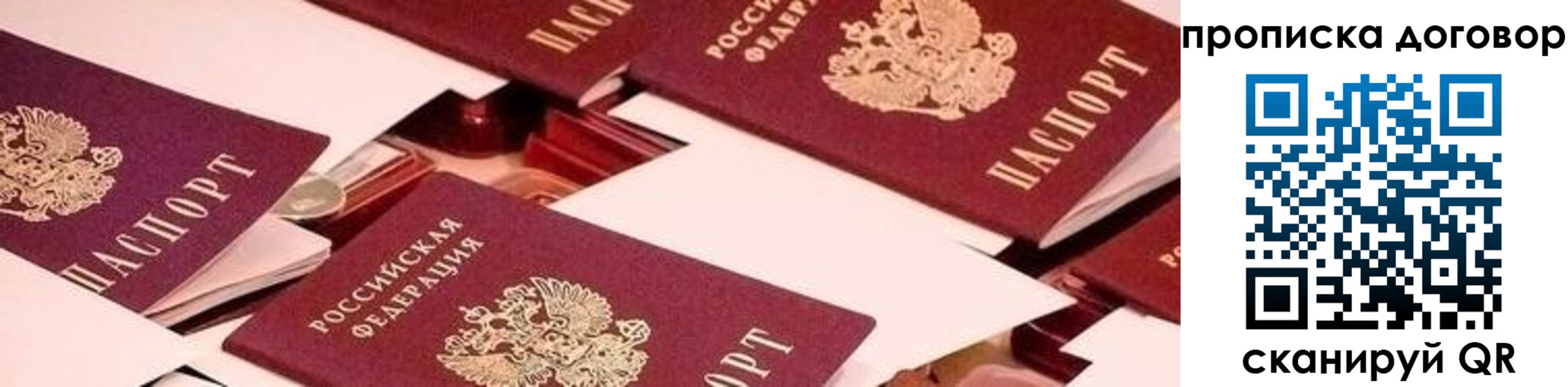прописка для школы в Истре
